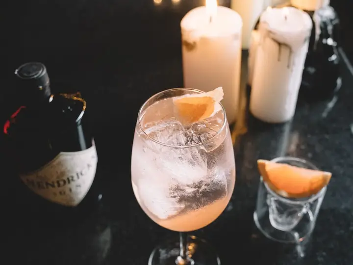 Gin Tonic Silvestre de Frutos Rojos